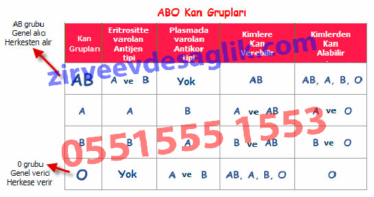 Bakırköy Evde Kan Grubu Bakma İstanbul Evde Kan Grubu Hizmeti